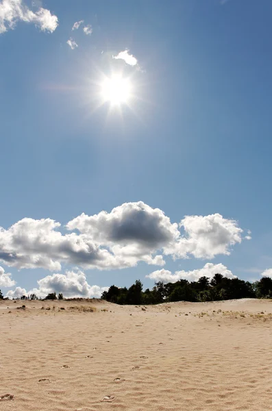 Güneş ve dunes. — Stok fotoğraf
