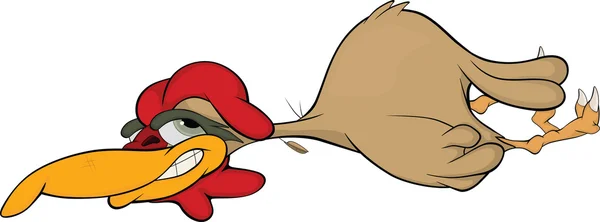 公鸡。卡通 — 图库矢量图片