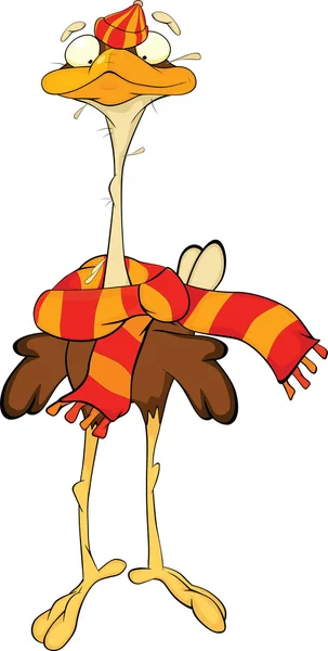 Struisvogel. Cartoon — Stockvector