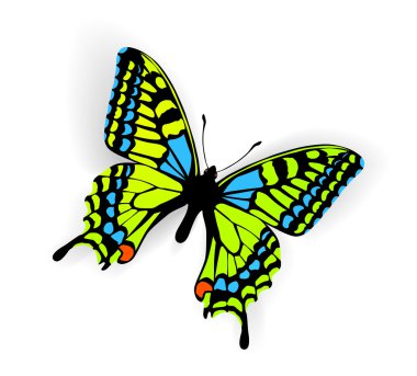 Butterfly Vector Illustration clipart