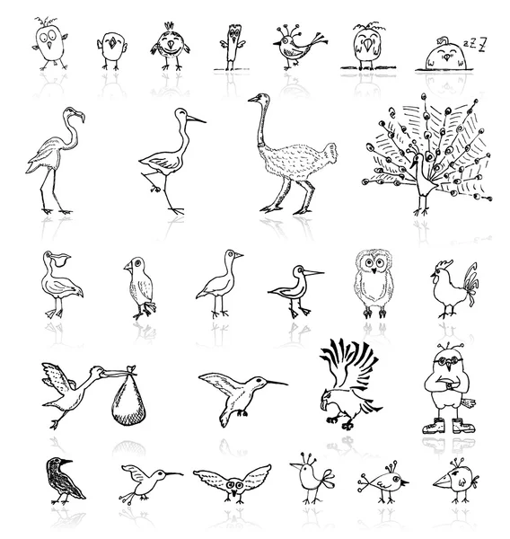 Sketch of funny birds for your design — Stock Vector