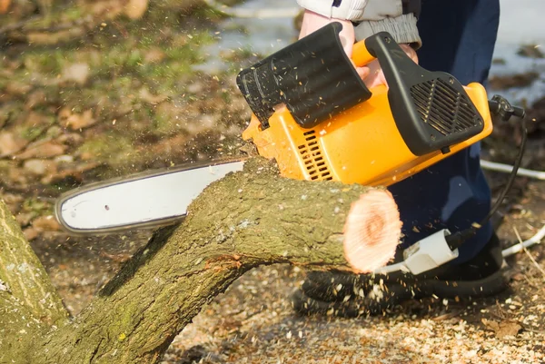 stock image Chainsaw