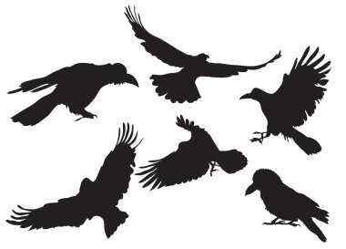 Crow silhouette clipart