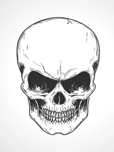 人間の頭蓋骨 — ストックベクタ