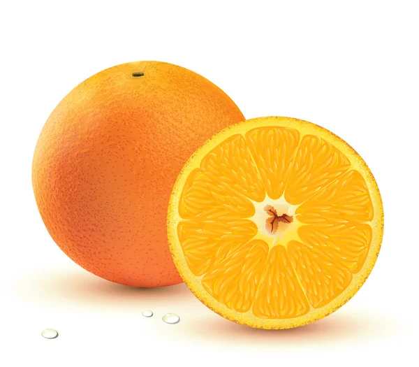 Friss, lédús narancs — Stock Vector