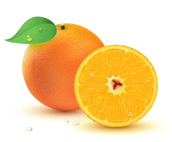 Verse, sappige sinaasappelen — Stockvector