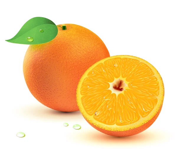 Taze sulu portakal — Stok Vektör