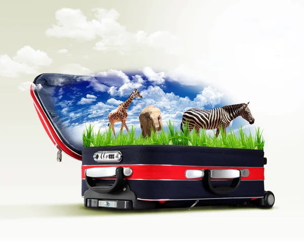 stock image Red suitcase with green nature inside