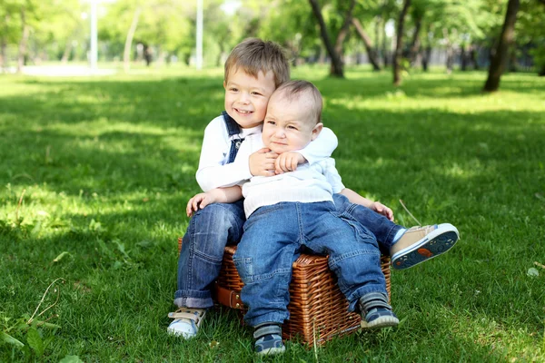 Två små bröder tillsammans i parken — Stockfoto