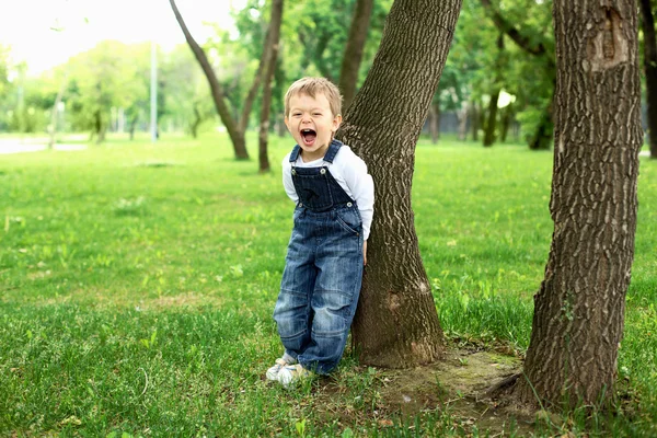 Parktaki bir çocuğun portresi. — Stok fotoğraf