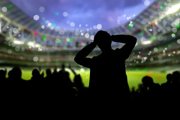 Menschenmenge im Stadion — Stockfoto