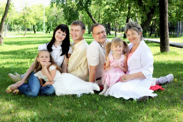 Família estendida juntos no parque — Fotografia de Stock