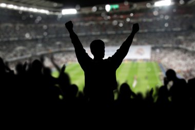 Crowd on the stadium clipart