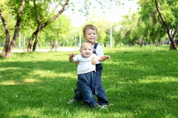 Двоє маленьких братів разом у парку — стокове фото