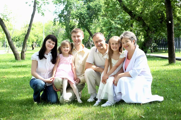Εκτεταμένη οικογένεια μαζί στο πάρκο — Φωτογραφία Αρχείου