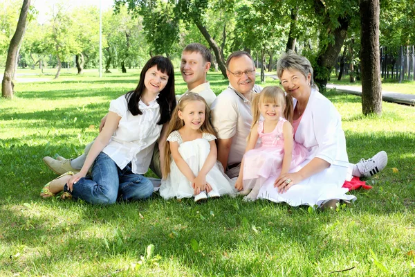 Großfamilie zusammen im Park — Stockfoto