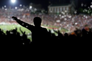 Crowd on the stadium clipart