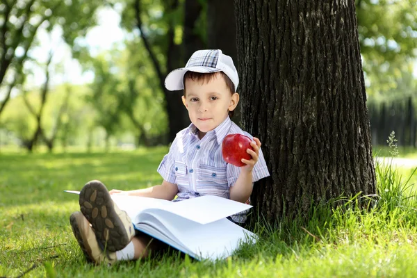 รูปภาพของเด็กชายที่มีหนังสือในสวนสาธารณะ — ภาพถ่ายสต็อก