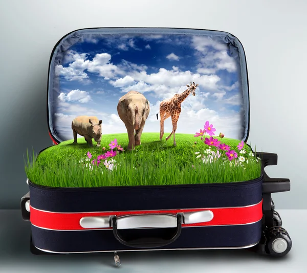 Красный чемодан с зеленой природой внутри — стоковое фото