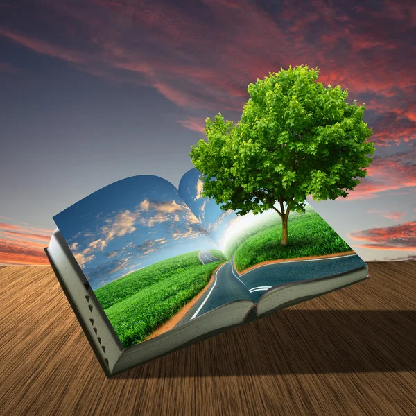 Kniha s zelenou krajinu uvnitř — Stock fotografie