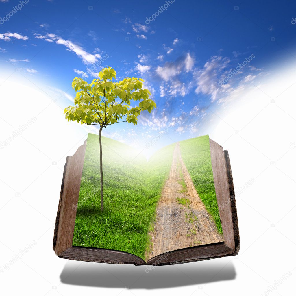 Book with green landscape inside