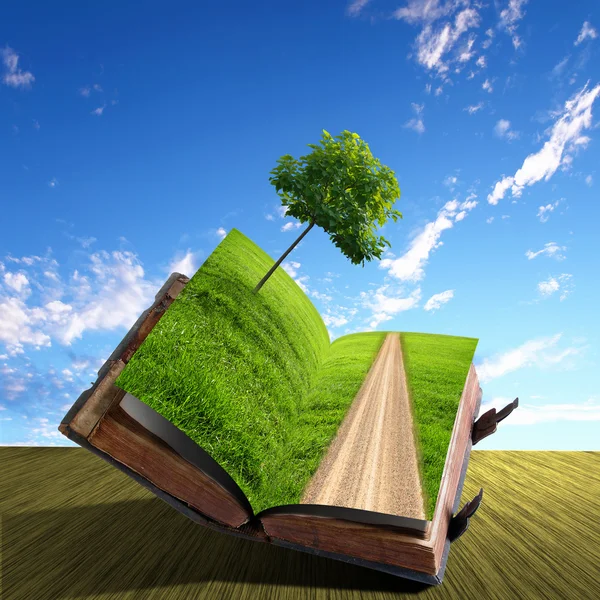 Buch mit grüner Landschaft im Inneren — Stockfoto