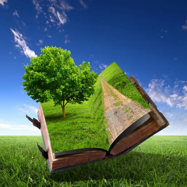 Kniha s zelenou krajinu uvnitř — Stock fotografie