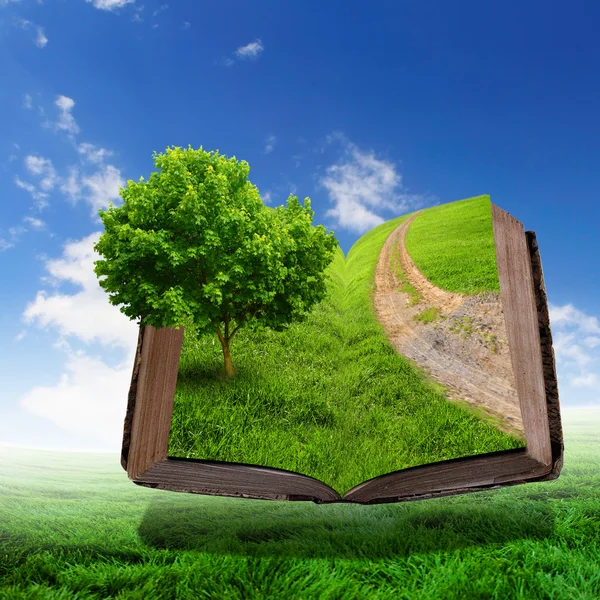 Livro com paisagem verde dentro — Fotografia de Stock