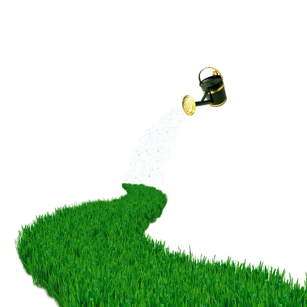 Groen gras weg en gieter — Stockfoto