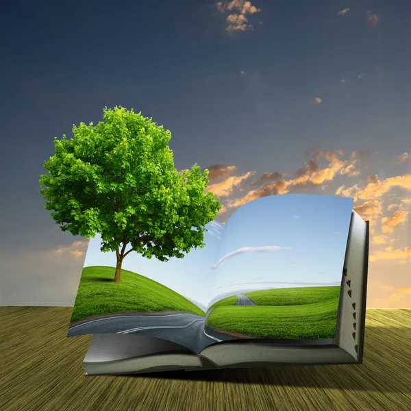 Βιβλίο με καταπράσινο τοπίο μέσα — Φωτογραφία Αρχείου