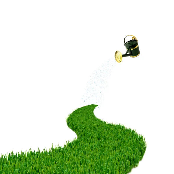 Droga zielona trawa i konewka — Zdjęcie stockowe