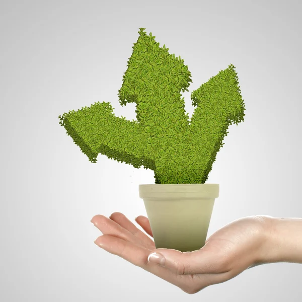Symbol of environmental protection and ecology — Stock Photo, Image