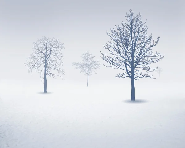 白色雪树 — 图库照片