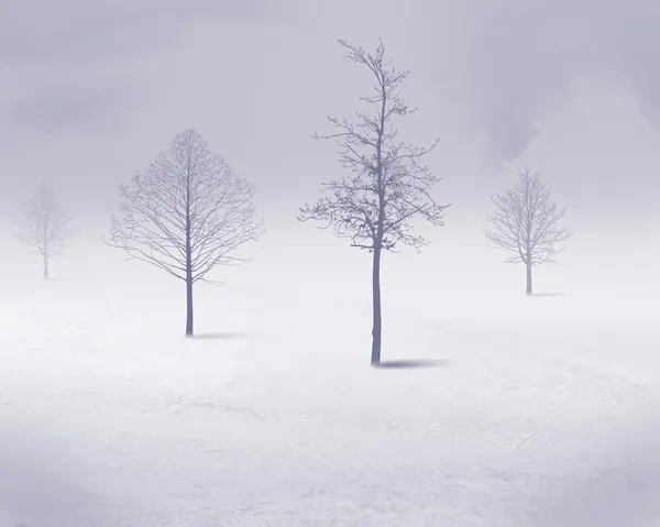 Χιόνι λευκό δέντρο — Φωτογραφία Αρχείου