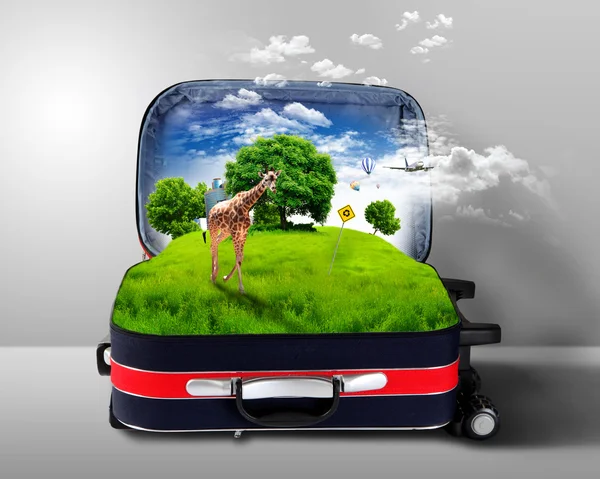 Красный чемодан с зеленой природой внутри — стоковое фото