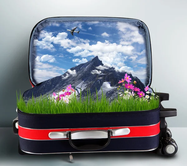 Röda resväska med snötäckta berg inne — Stockfoto
