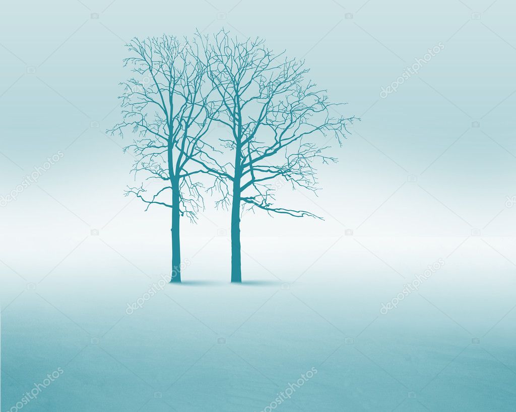 White snow tree — Stock Photo © SergeyNivens #7791377