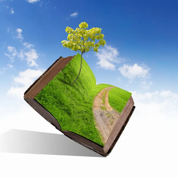 Book with green landscape inside — Stock Photo, Image