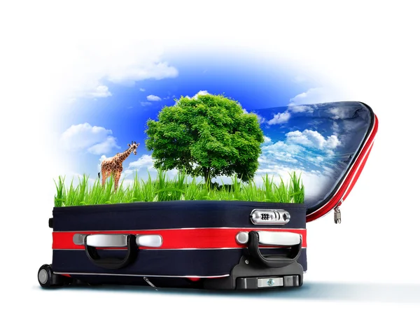 Roter Koffer mit grüner Natur im Inneren — Stockfoto