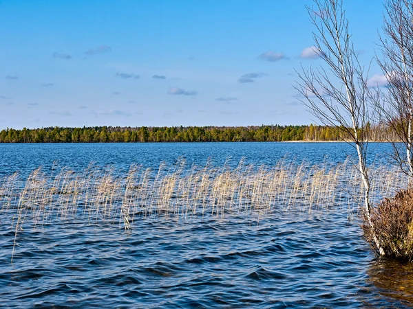 Landskap med en sjö — Stockfoto