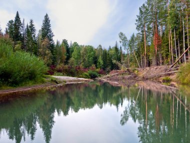 Sibirya'da doğa ile sonbahar manzarası