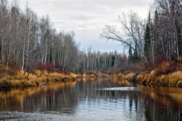 Paysage d'automne avec une rivière — Photo