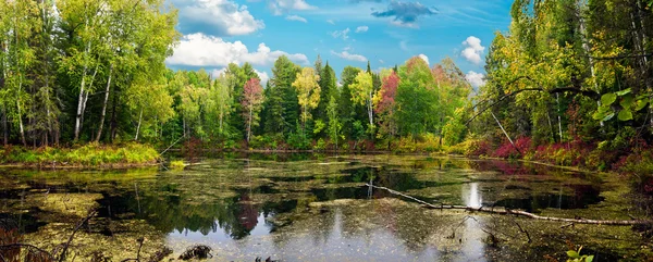 Panorama van de herfst bossen en meren — Stockfoto