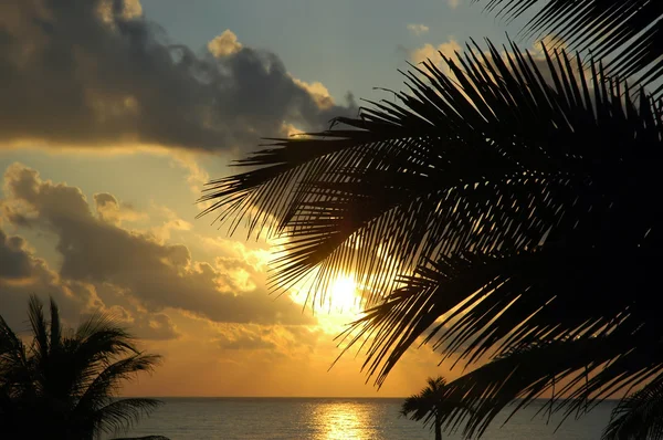 stock image Caribbean sunrise