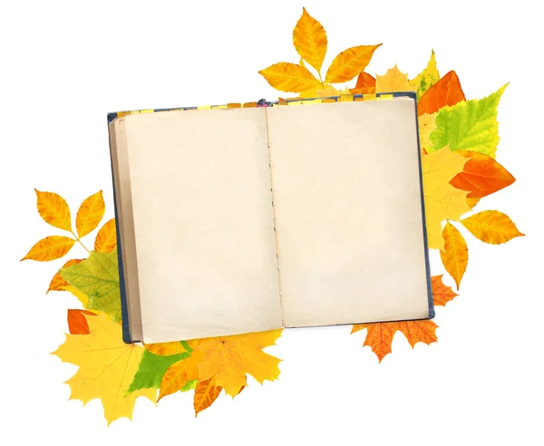 Livro velho e folhas de outono — Fotografia de Stock