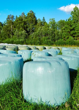 Ensilage hay. clipart