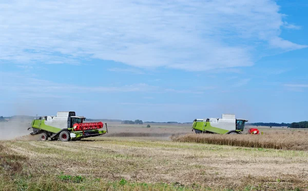 Two combines on the field. — Stock Photo, Image