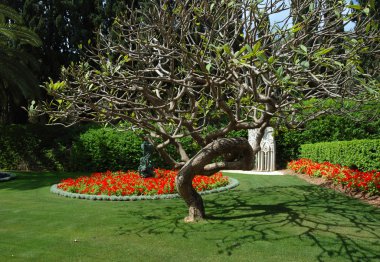 Bahai Tapınağı bahçeleri, haifa, İsrail