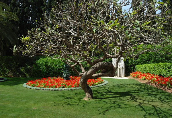stock image Bahai temple gardens,Haifa,Israel