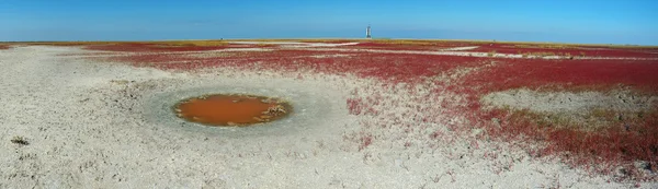Paisagem incomum de deserto ilha de Tendra, Ucrânia — Fotografia de Stock